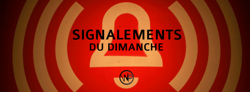 banniere-signalements-wp-2033964