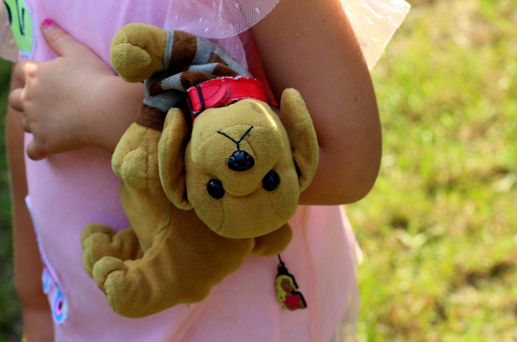 photo d'une peluche tenue par une petite fille