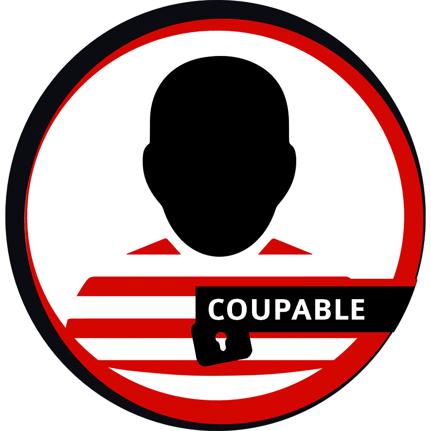 icone-wp-coupable1